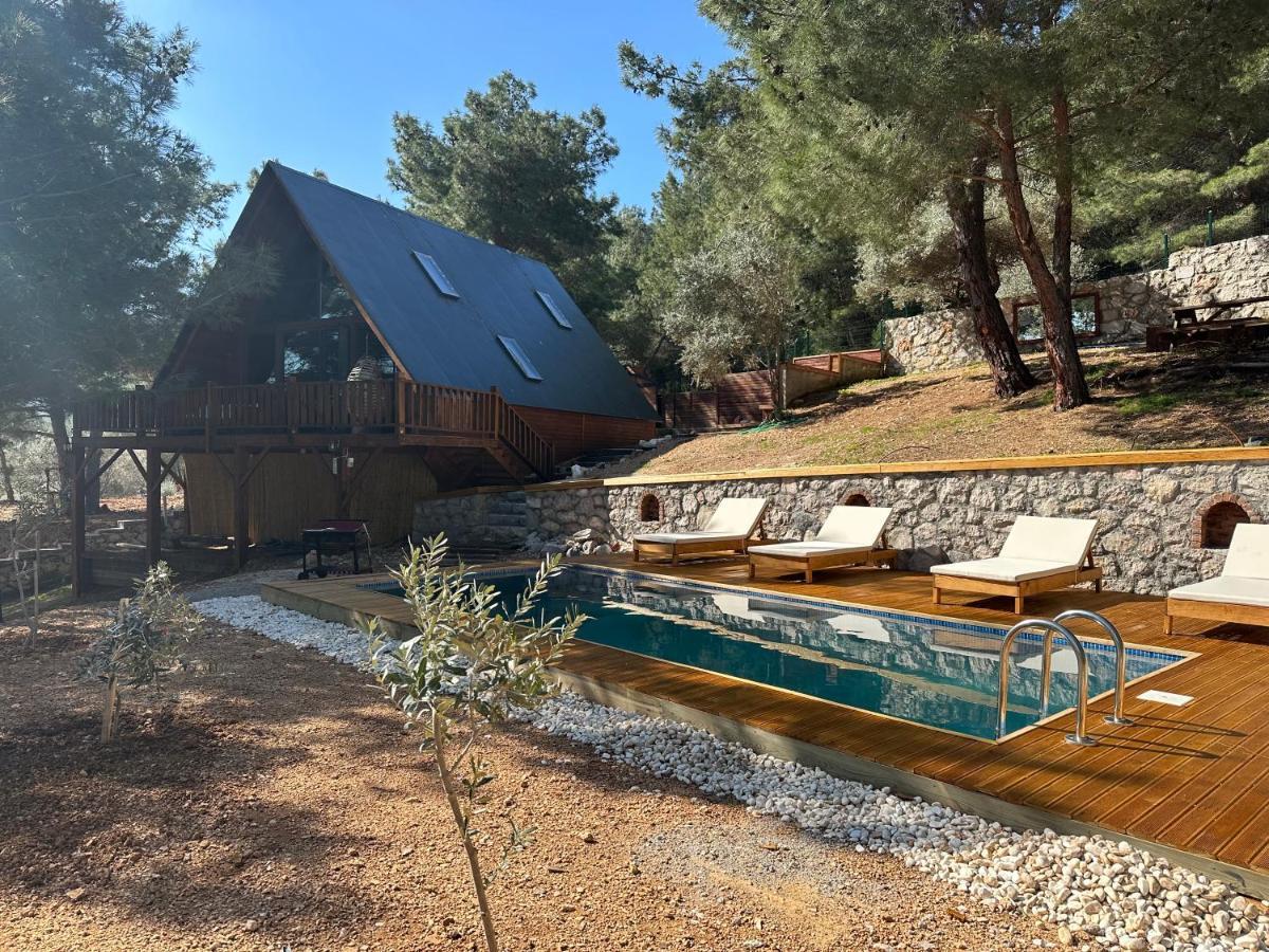 Panurlawoodenhouse Oezel Havuz& Sauna Mavi Екстериор снимка