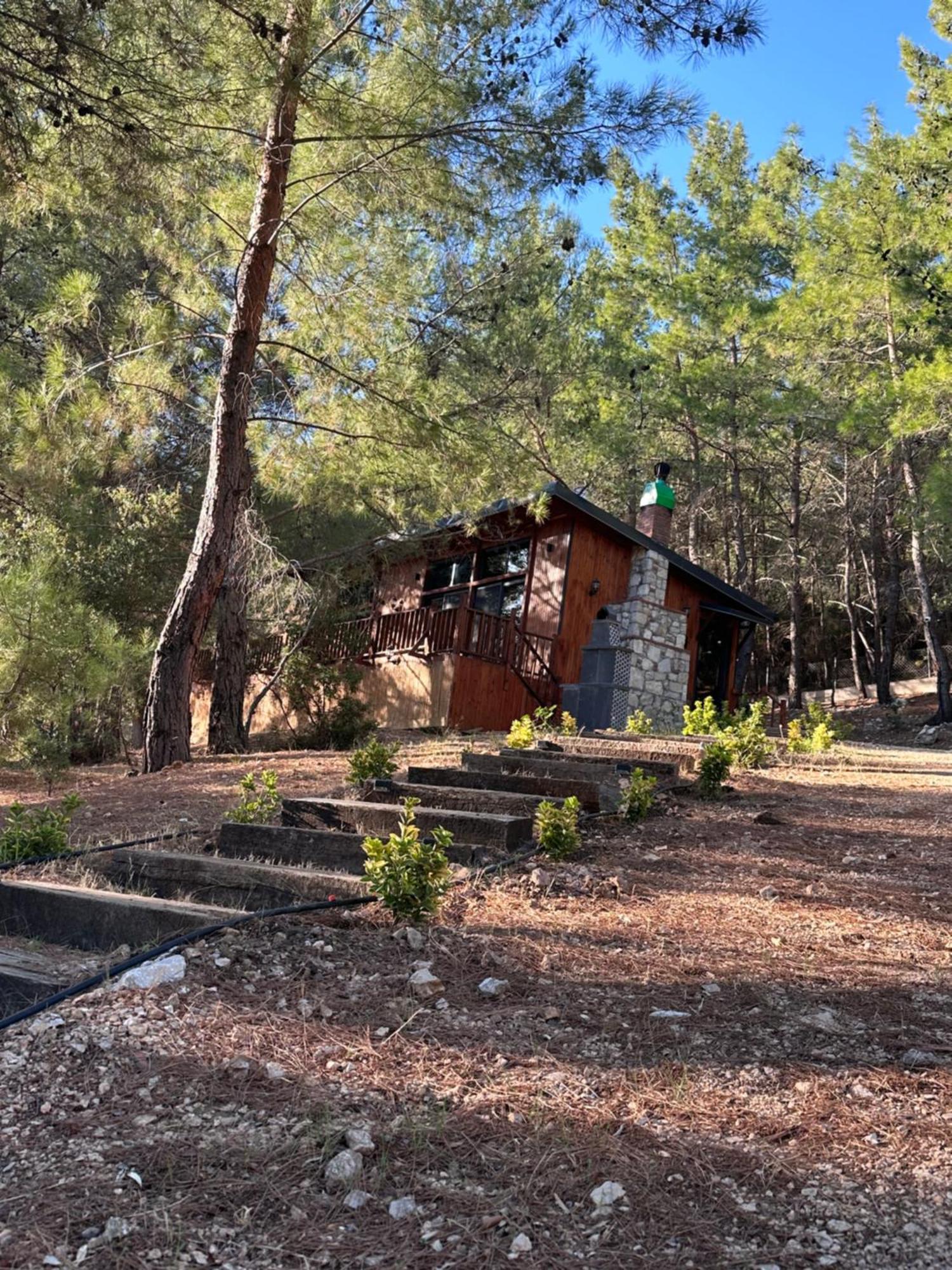 Panurlawoodenhouse Oezel Havuz& Sauna Mavi Екстериор снимка