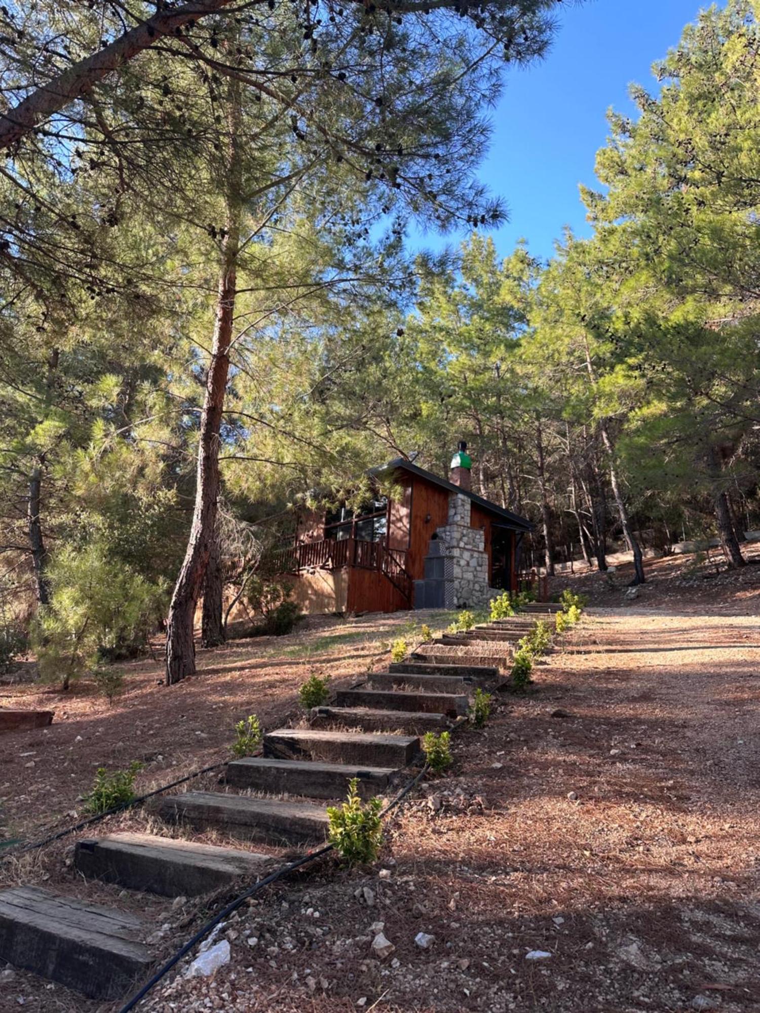 Panurlawoodenhouse Oezel Havuz& Sauna Mavi Екстериор снимка